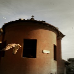 Rome with birds speed
