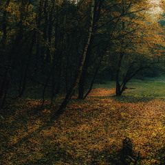 Осенний блюз