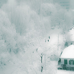 Белая зима
