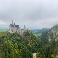 ...десь заблукали у Баварських лісах.