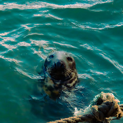 Ми прийшли у той день в порт...