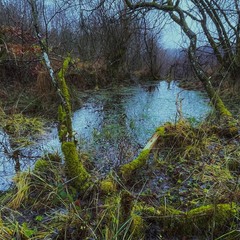 З Новим роком!