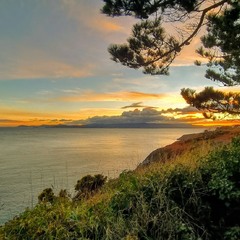 Irish whiskey number two