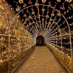 Кобленц, Свято наближається...