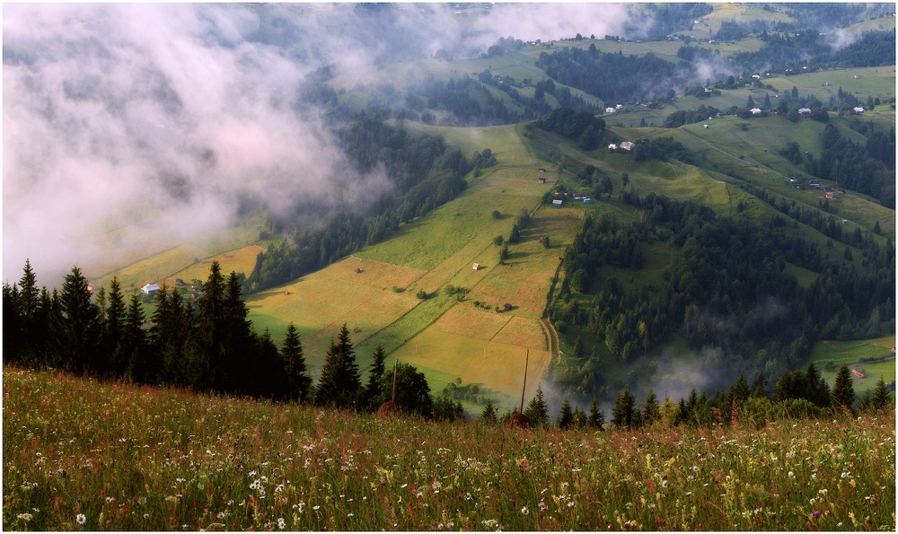 Красивая дорога в Карпатах