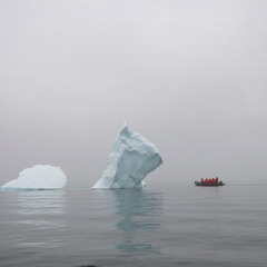 Baby-Iceberg