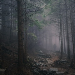 Дземброня...Австрійська стежка...Казковий ліс