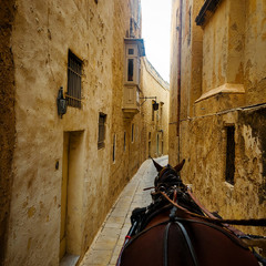 Подорож до середьновіччя