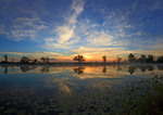 Панорама світанку на Солонецькому озері