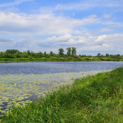 Рідні простори