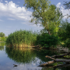 Річка Орель