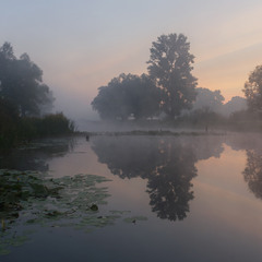 Туманний ранок на озері