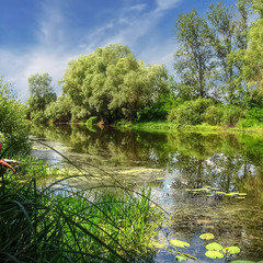 Риболовля на річці Остер