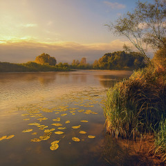 Озеро Солонецьке в променях вечірнього сонця.