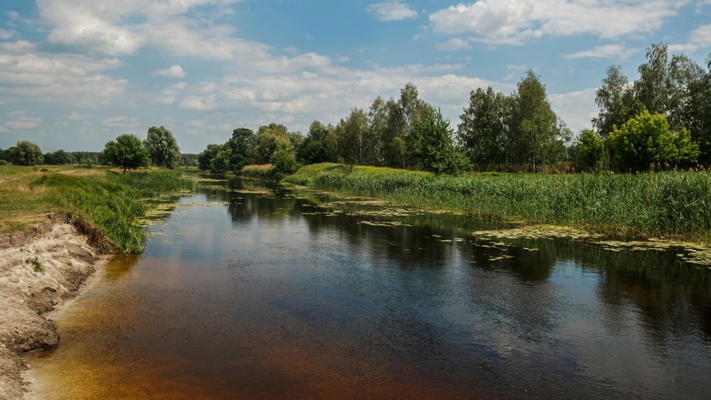 Город остер фото