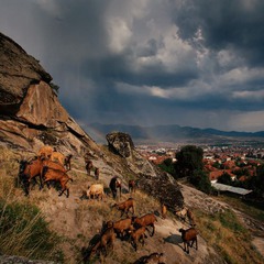 Прилеп, Македония