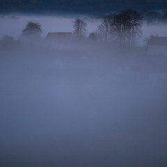 Туманний ранок біля с.Свірж