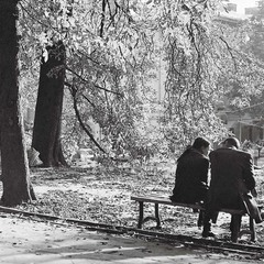 пара у львівському парку