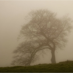 ...ghostly mist...