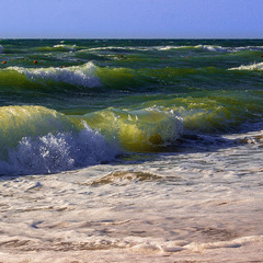 Зелёные волны Чёрного моря