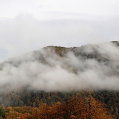 Клубочиться туман в осінніх горах