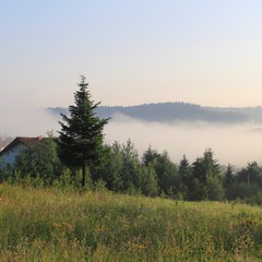 Ранковий туман у долину упав