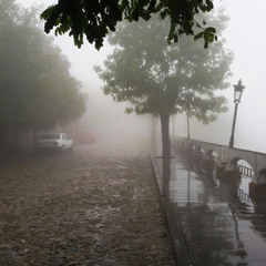 Гуляя туманным Сигнахи (Грузия)