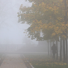 фотопауза в тумані