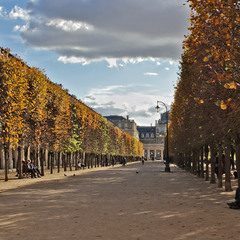 осень в Париже