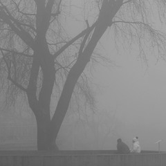 диаложик в тумане