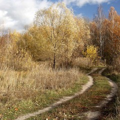 Дорога в осінь...