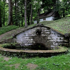 Старий парк