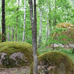 "Камінне село"