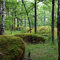 Камінне Село