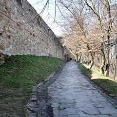 Теребовлянська фортеця