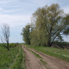 Дорога в поле.
