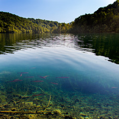 Плитвицкие озера Хорватия