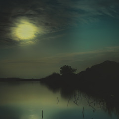 Лунная ночь на пруду
