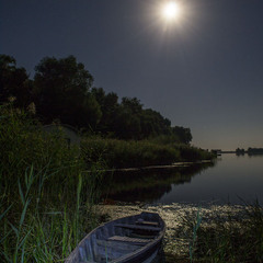 Місячна ніч над Дніпром