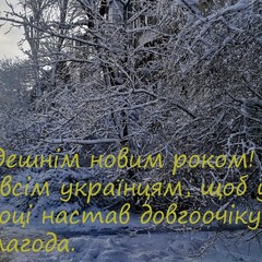 З новим 2026   роком!