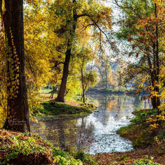 Осень в Киеве..