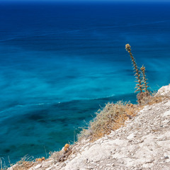 пляж Афродиты, о.Кипр