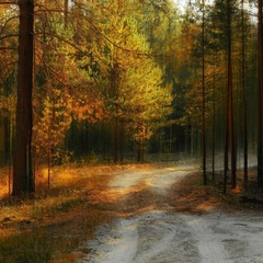 Дорожки осеннего леса