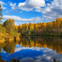 Золотая осень на лесном озере