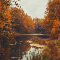 Осень на старом пруду