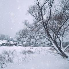 Зимушка укутала все теплым снежным покрывалом