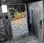 Двері в осінь