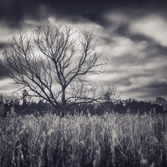 "Awesome Alone" №10