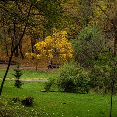 Осінній парк