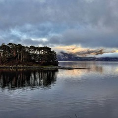 Лісовий острів